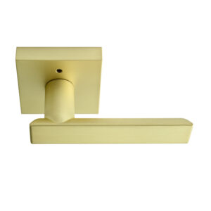 Santa Cruz Lever