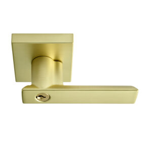 Santa Cruz Lever