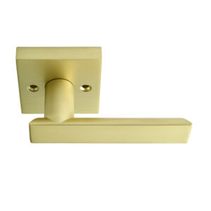 Santa Cruz Lever