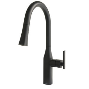 Santa Cruz Kitchen Faucet