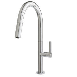 Stinson Beach Kitchen Faucet